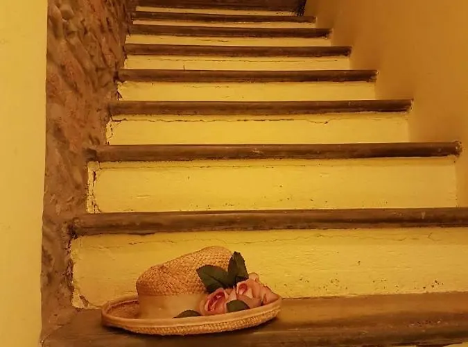 Trattoria Gatto Gambarone *