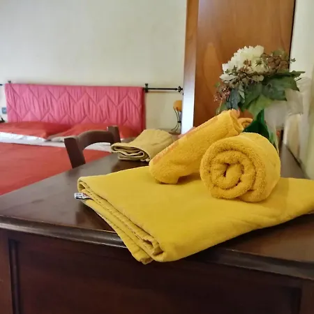 Trattoria Gatto Gambarone Noceto