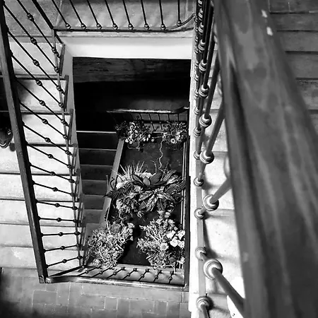 Trattoria Gatto Gambarone Noceto