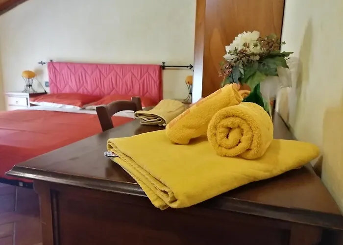 Trattoria Gatto Gambarone Noceto