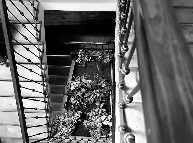 Trattoria Gatto Gambarone Noceto